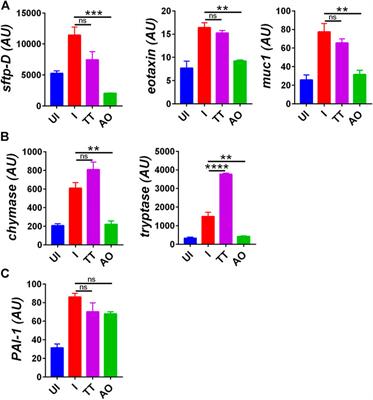 Effect of Prophylactic Use of Intranasal Oil Formulations in the Hamster Model of COVID-19